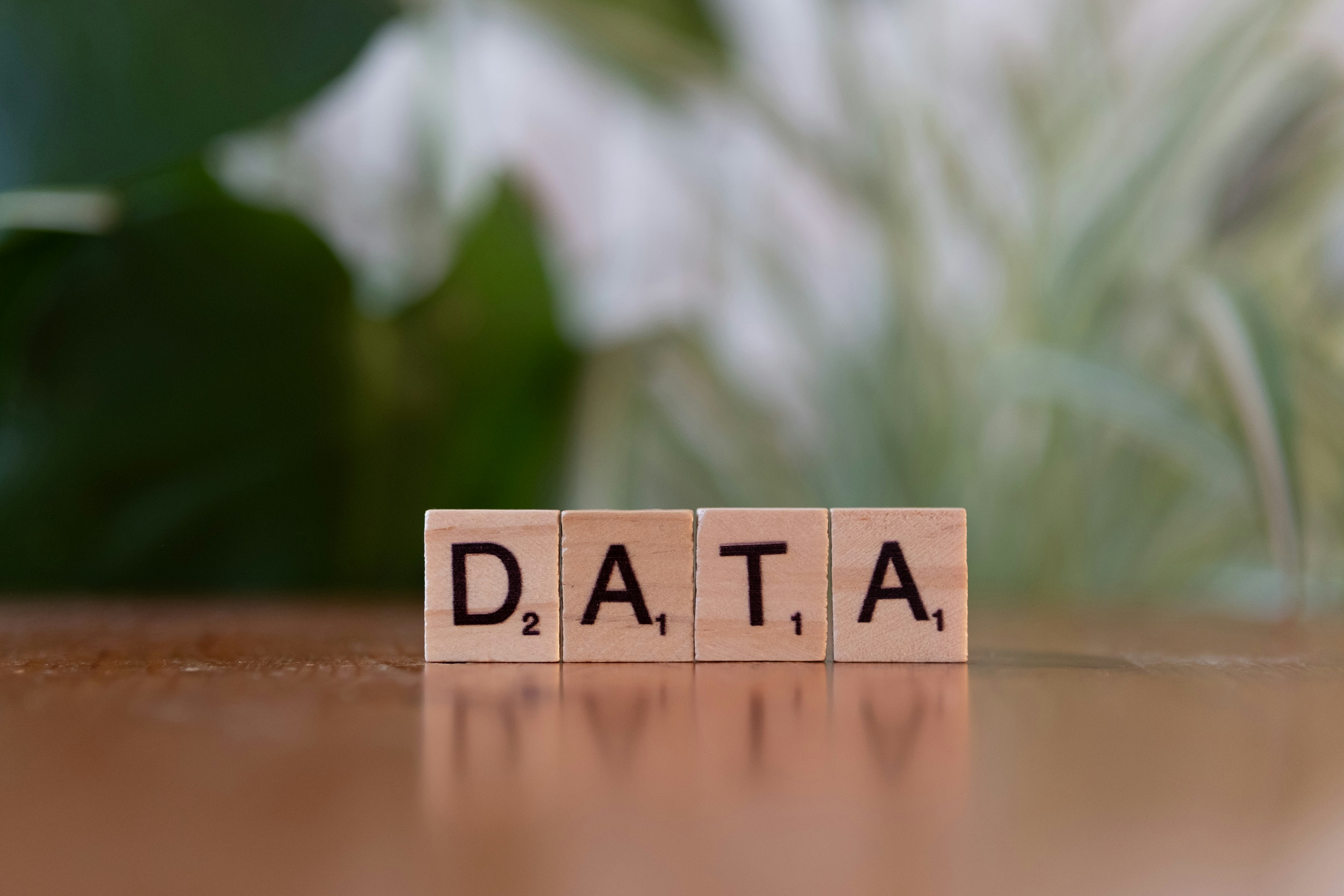 Pipeline entity resolution e scoring predittivo per qualificazione lead fintech B2B